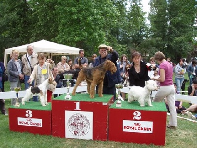 du Coteau Des Levriers - Expo cacs libourne 15/05/2011